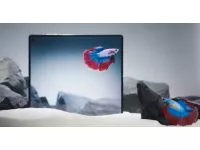 Vivo X Fold5 will feature an 8T LTPO foldable and outer displays, IPX9+ underwater folding, IP5X dustproof ratings