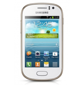 Samsung Galaxy Fame S6810