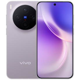 vivo X300
